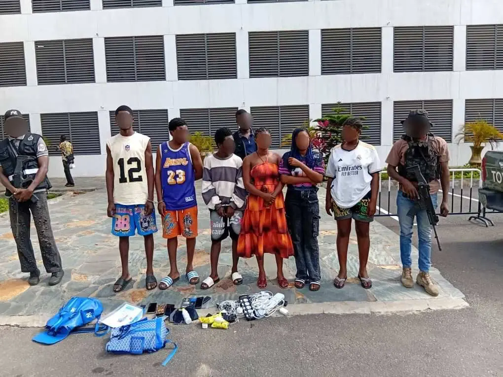 Ghana Police Arrest 10 for Operating Fake Online Food Delivery Platforms